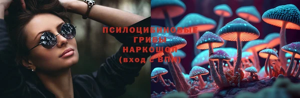 ешки Касимов
