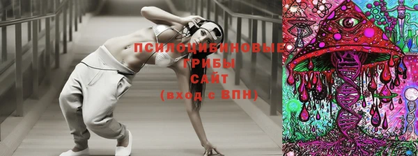 стафф Кинешма