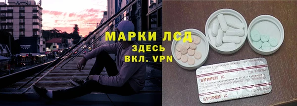 шишки Киренск