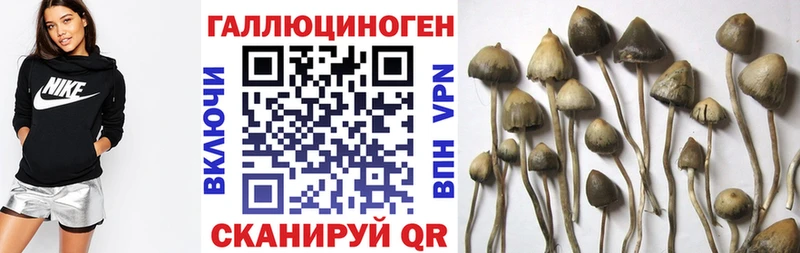 Псилоцибиновые грибы Magic Shrooms Купить где Лянтор